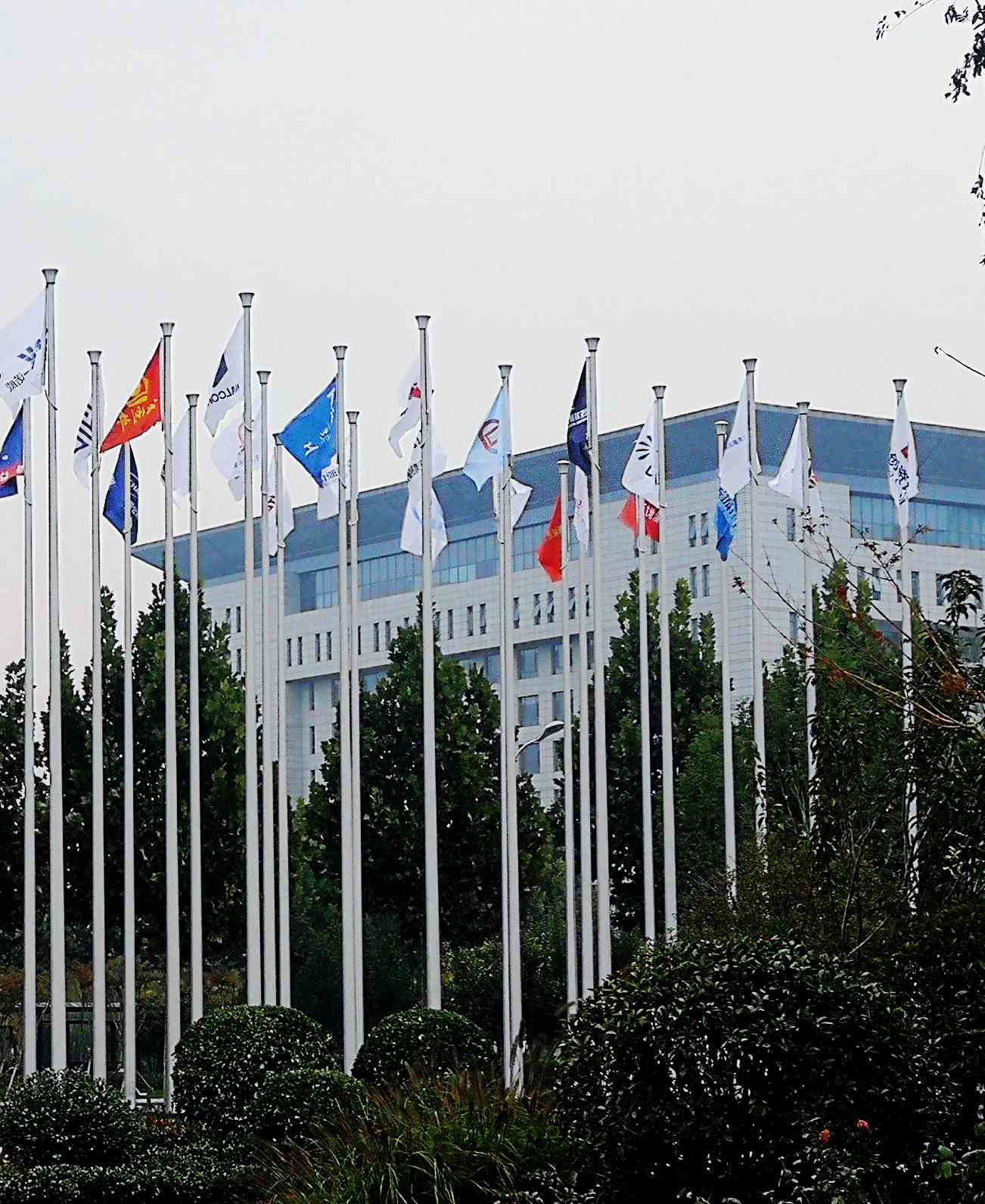 凤凰涅槃，荣耀淄博